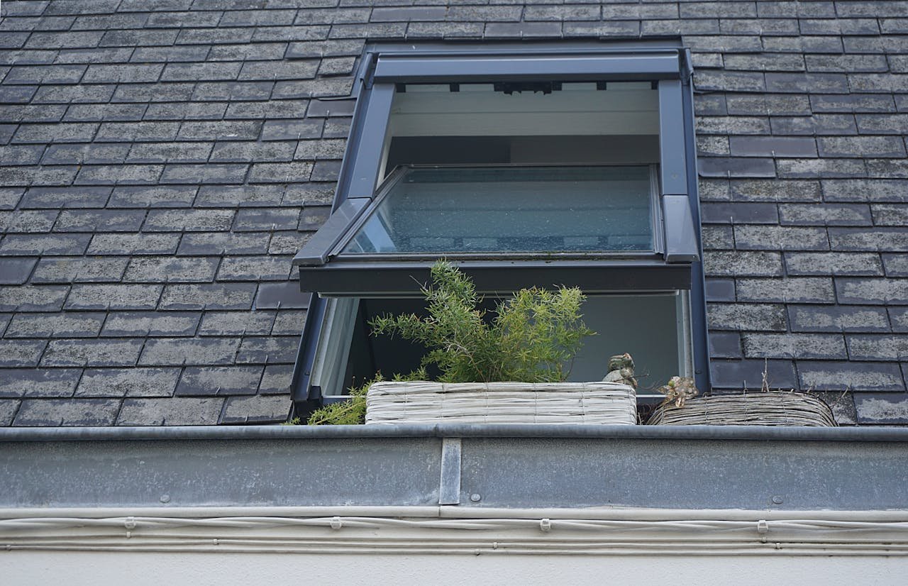 A close-up view of a skylight window with plants on a tiled roof, showcasing modern architecture and greenery.